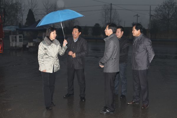 副市长牛越丽视察市农林科学院